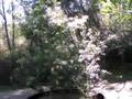Ecotour04