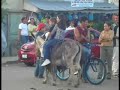 Hipicos Estel� 2006