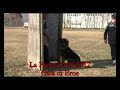 Preview video <strong>Gaia di Eros</strong>
