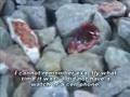 Oh, What a wondrous mystery of the Precious Blood! -1