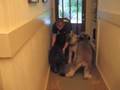 Welcome-Home