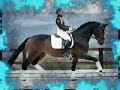 dedication to luluhorsecrazy ;~]