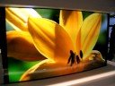 Very thin organic EL Display, SONY, CEATEC JAPAN 2008 ??0.3mm???11?????????EL??????