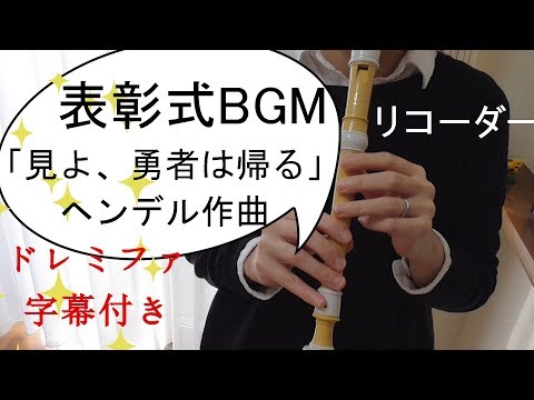 動画