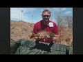     A great late morning, afternoon session down at Runyon Lake, Pueblo CO. 