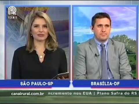 Assessor Técnico da CNA fala sobre falta de armazéns