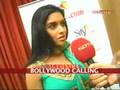 Bollywood calling Tamil cinema's Asin