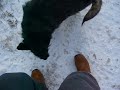 Crazy Charlie