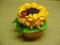 Decorating Cupcakes: #3 Sunflower and Ladybug