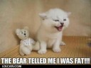 LOLCATS video.  microsoft sam 2 lol