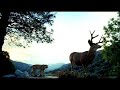blip-no-i-in-threesome-interpol.html