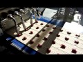 Просмотр видео