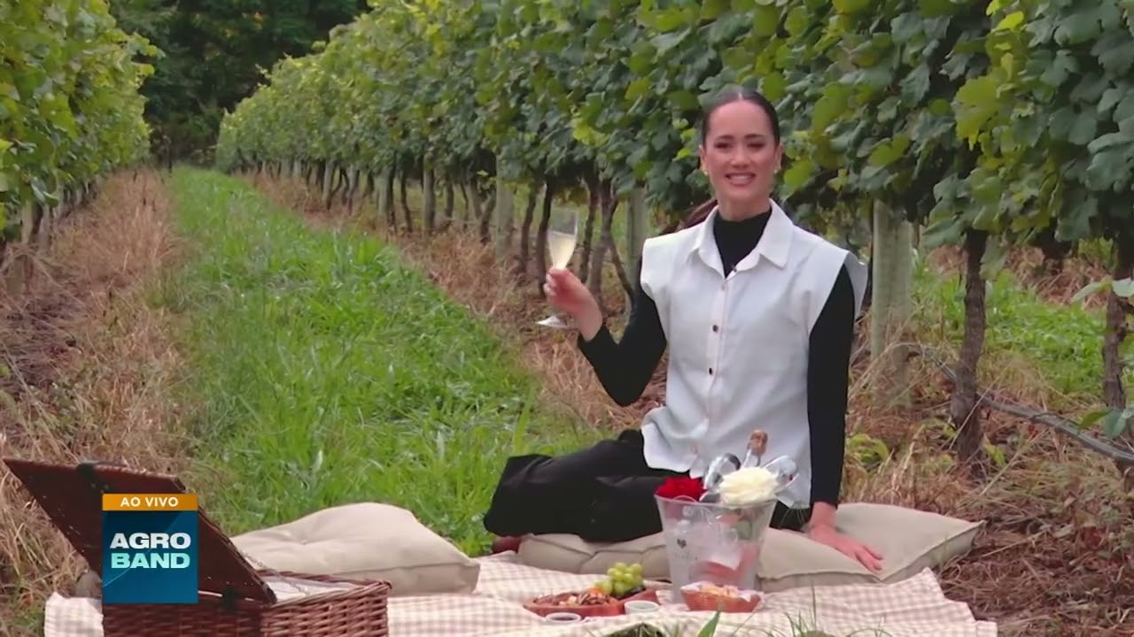 Turismo de luxo: Propriedades rurais oferecem "experiências"