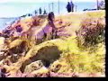 amputee dusty 4