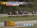 Starbird 4th - 29/09/2007