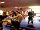 il M� Buffoni al sukhothai gym di dusseldorf (2)