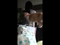 Click here to watch this video 猫 ウリ