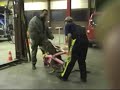 Sch�ferhunde Schutzdienst