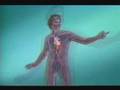 Sistema Cardiovascular