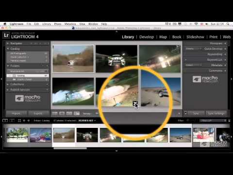 Lightroom 4 101: Building A Photo Library - 29. Surveying Photos
