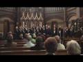 Den store, hvide flok