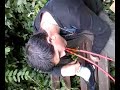 chicha party