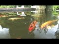 bouda1.wmv
