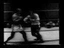 Rocky Tribute Rocky Tribute
