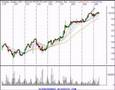 Stock Market Technical Analysis Reveiw 2/8/07