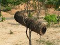 Moxico para lembrar