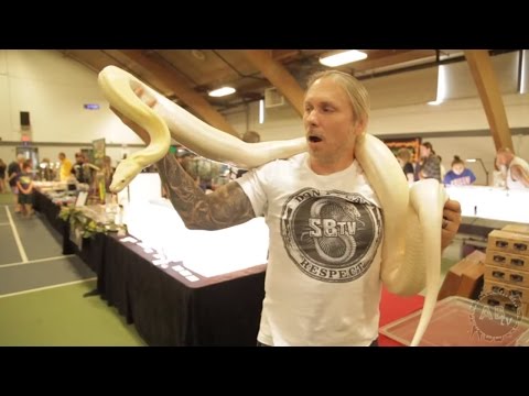 YouTube reptile video