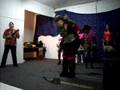 show do colapisoooo