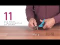 Mousetraps in Motion - Sick Science! #090