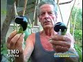 MUTAZIONI GENETICHE SU ORTAGGI