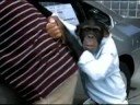 Trunk Money Salesperson Trunk Money Salesperson