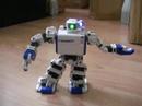 i-sobot can perform tai-chi i-sobot can perform tai-chi