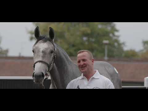 Tattersalls October Yearling Sale 2019