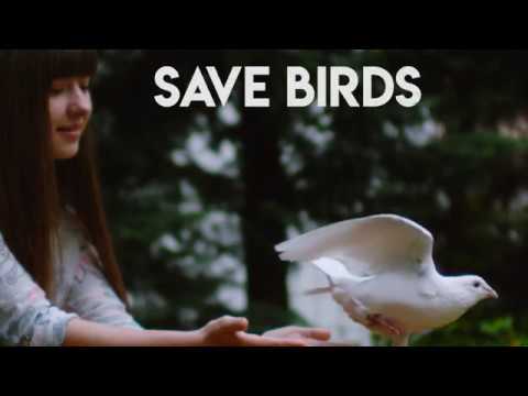 Gargi Foundation | Save Trees | Save Birds | Save Water | Save Environment | Save Girl Child