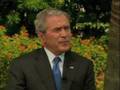 Bush-on-Bee-Hives