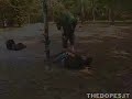 the dopes   impalata