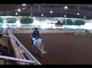 Nico Dressage Training Level Test One Nico Dressage Training Level Test One