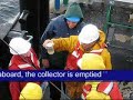 Stannard Rock Area Plankton Net research on Lake Superior Stannard Rock Area Plankton Net research on Lake Superior