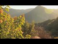 video_1