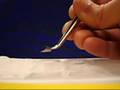 Ni-Ti Shape Memory Alloy Thin Film
