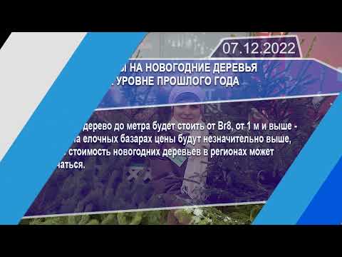 Новостная лента Телеканала Интекс 07.12.22.