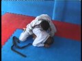Demian Maia training arte suave