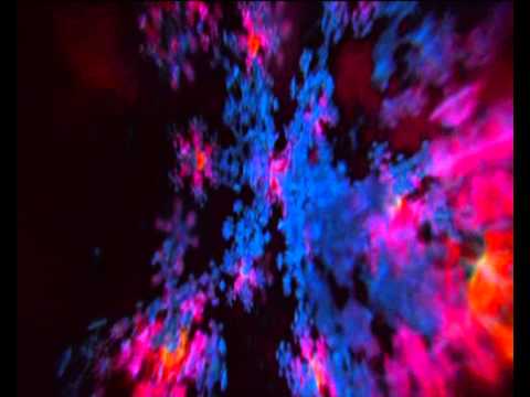 Matta - Matta - Closer ( DMT scene from enter the void )