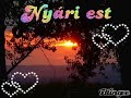 Peat Jr. feat Fernando -Ny�ri este (Hungarian)
