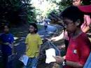 NVPS Nature Guides 2 NVPS Nature Guides 2