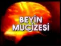yaratilis gercegi beyin mucizesi